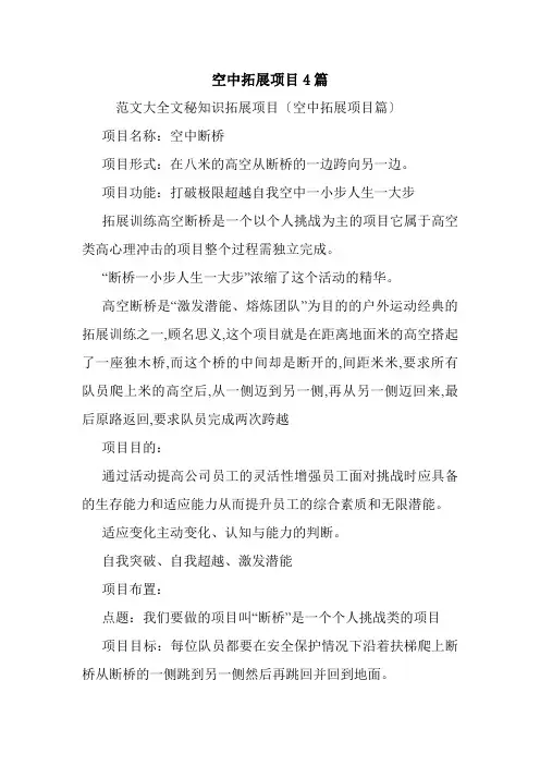 空中拓展项目4篇.doc