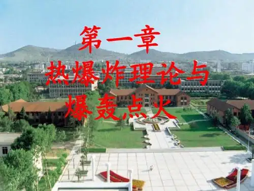 火工品设计原理(安徽理工-第一章热爆炸理论与爆轰点火