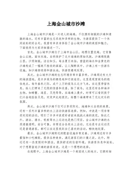上海金山城市沙滩