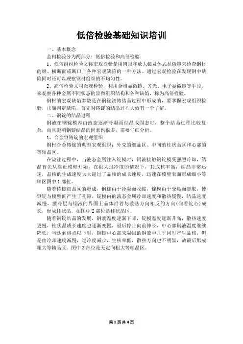 低倍基础知识培训