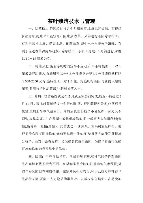 茶叶栽培技术与管理