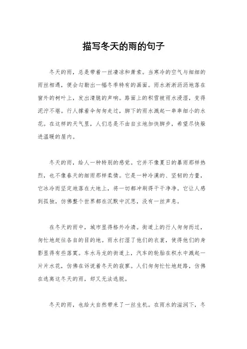描写冬天的雨的句子