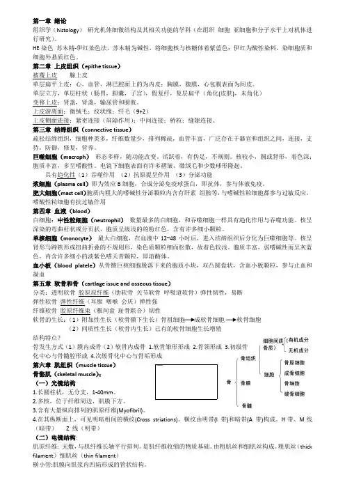 组胚重点全专业总结的