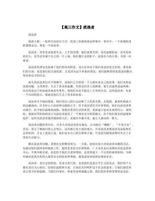 【高三作文】流浪者