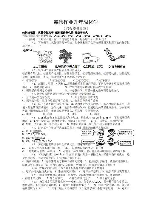 寒假作业九年级化学3