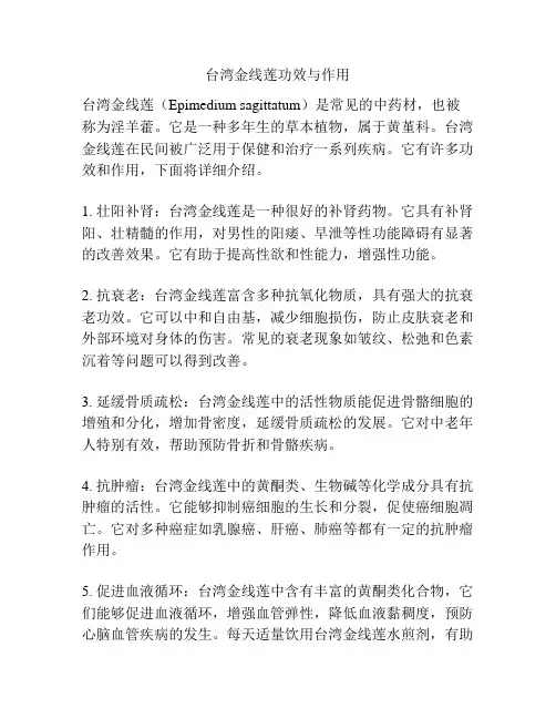 台湾金线莲功效与作用