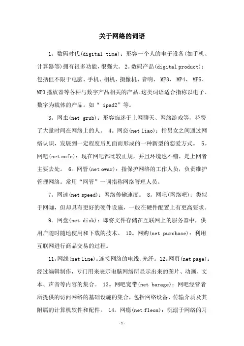 关于网络的词语