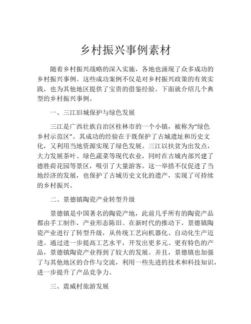 乡村振兴事例素材