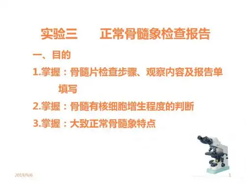 实验三骨髓检验报告ppt课件