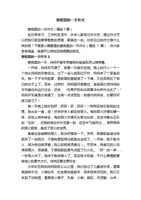 寒假里的一天作文