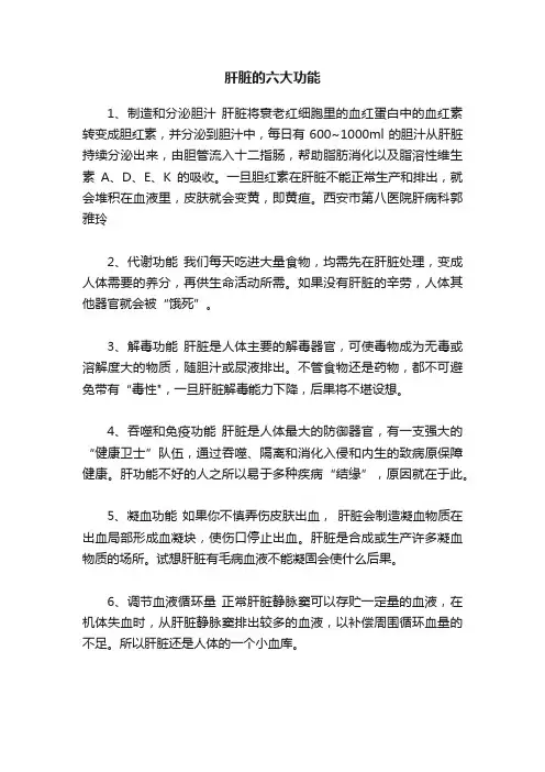 肝脏的六大功能