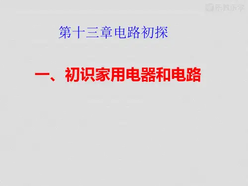苏教版物理九年级上册《13.1初识家用电器和电路》ppt课件
