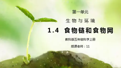 教科版五年级科学上册第一单元《生物与环境-食物链和食物网》PPT课件