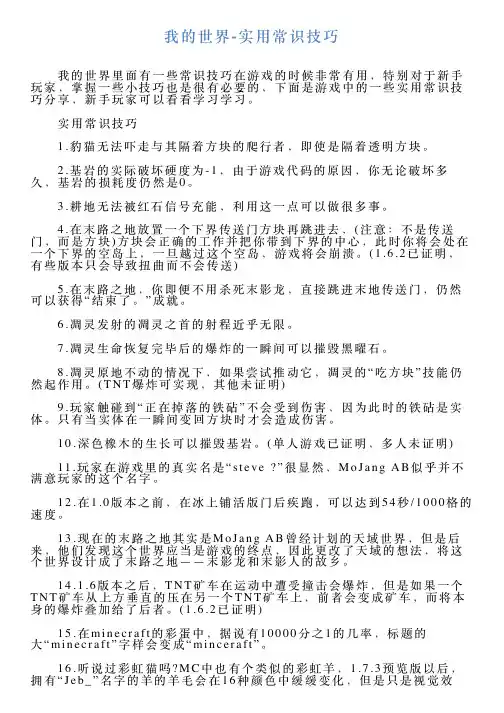 我的世界实用常识技巧