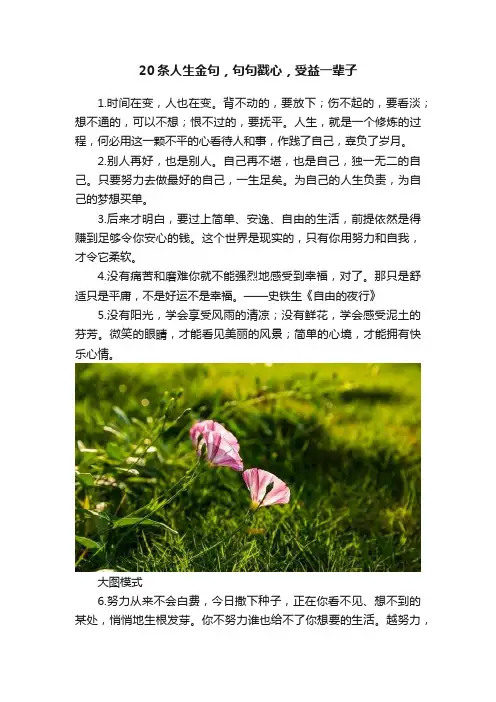 20条人生金句，句句戳心，受益一辈子