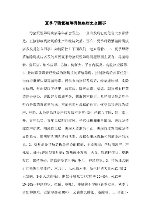 夏季母猪繁殖障碍性疾病怎么回事