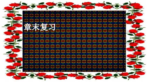九年级数学上册 第24章 解直角三角形章末复习上课课件 华东师大级上册数学课件