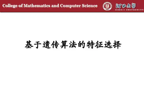 基于遗传算法的特征选择