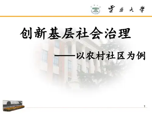 基层社会治理ppt课件