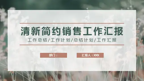 清新简约销售工作汇报PPT模板