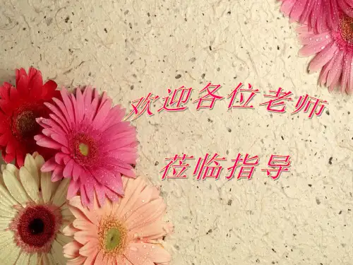 沪教版(上海)数学高一上册-4.1 幂函数的性质与图像课件  