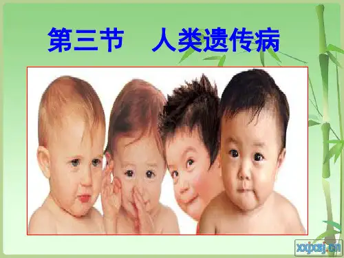 5.3_人类遗传病_ppt