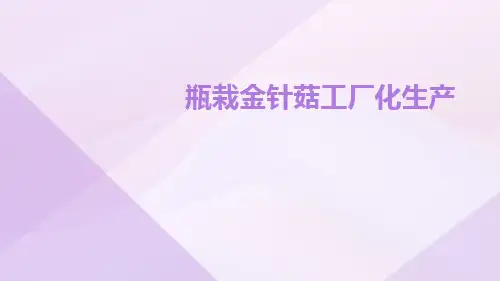瓶栽金针菇工厂化生产