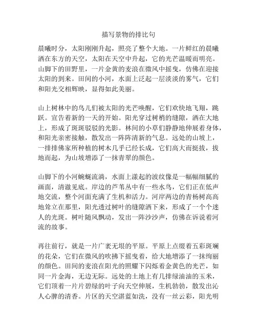 描写景物的排比句