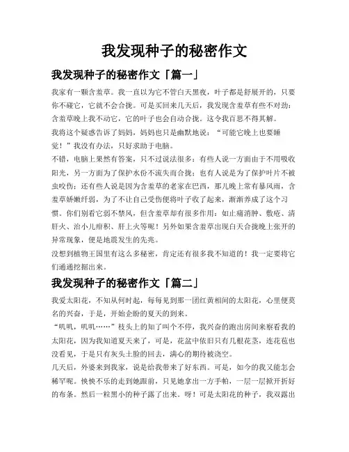 我发现种子的秘密作文