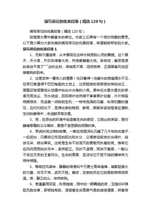 描写荷花的优美段落（精选120句）