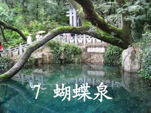 7 蝴蝶泉