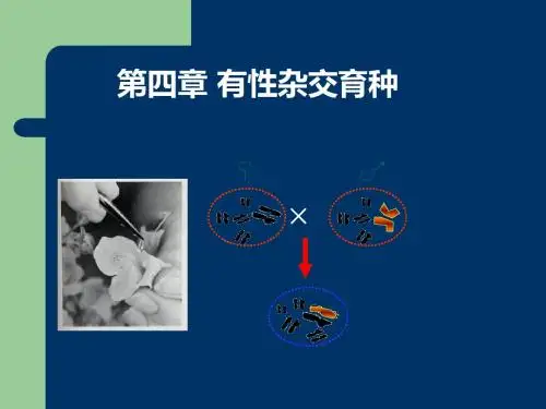 第四、五章园林植物杂交育种ppt课件 176页PPT