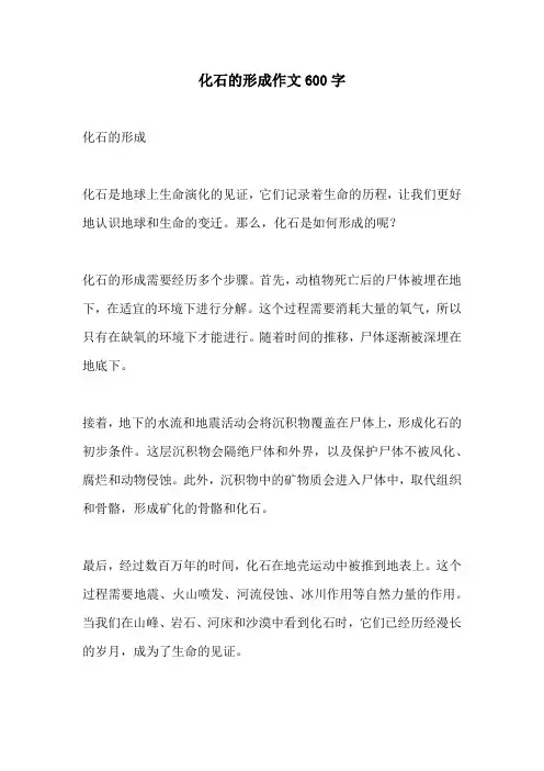 化石的形成作文600字