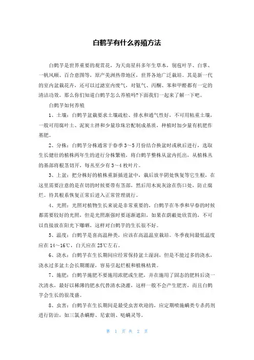 白鹤芋有什么养殖方法