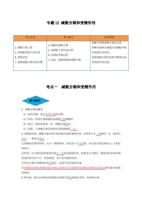 专题12 减数分裂和受精作用(串讲)(解析版)