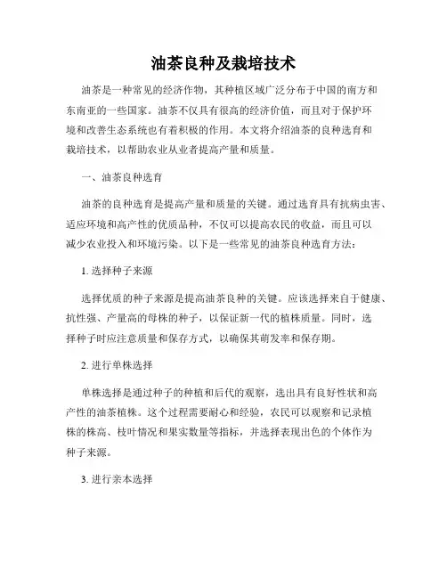 油茶良种及栽培技术