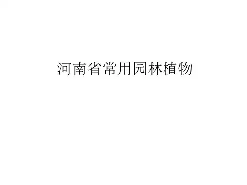 河南省常用园林植物