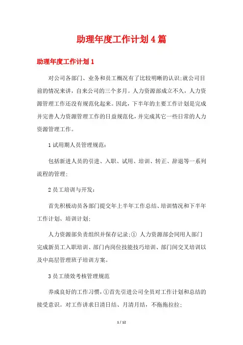 助理年度工作计划4篇