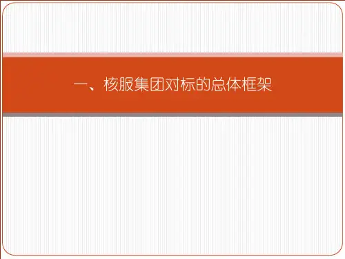 对标总体方案与思路计划