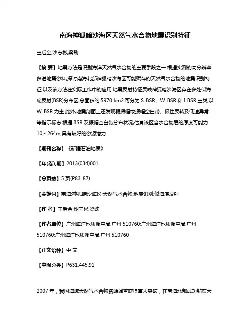 南海神狐暗沙海区天然气水合物地震识别特征