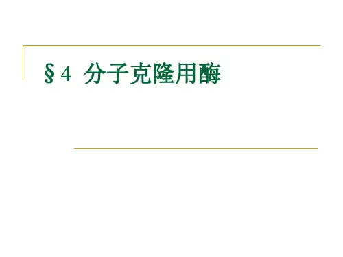 分子克隆用酶基因与蛋白质工程课件