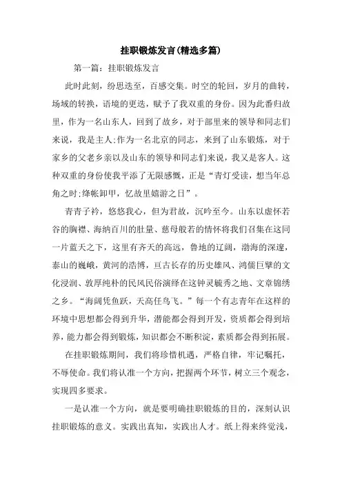 挂职锻炼发言(精选多篇).doc