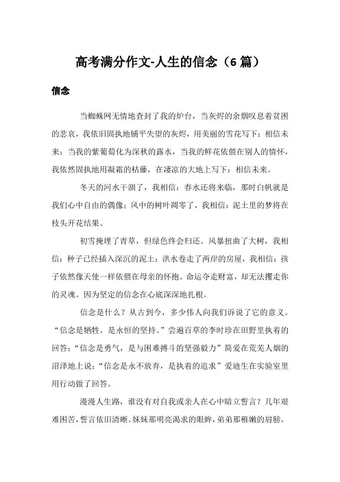 高考满分作文-人生的信念(6篇)