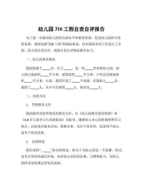 幼儿园316工程自查自评报告