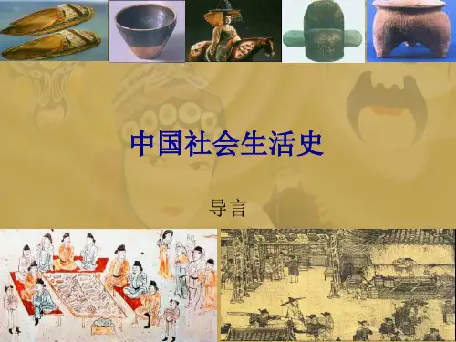 中国社会生活史