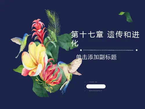 遗传学经典课件第13章 群体遗传和进化