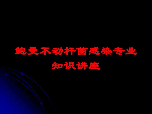 鲍曼不动杆菌感染专业知识讲座培训课件
