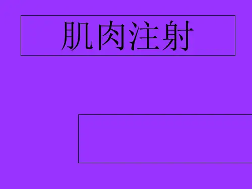 肌肉注射.课件