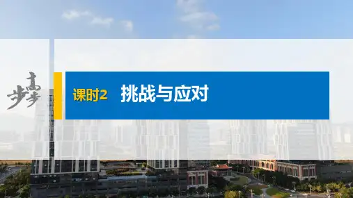高中思想政治 选择性必修1第二单元 第四课 课时2 挑战与应对