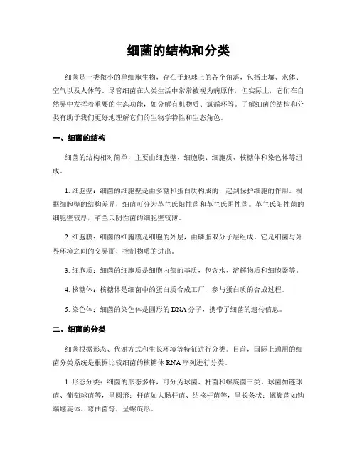 细菌的结构和分类